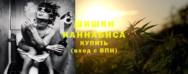 PSILOCYBIN Зеленодольск