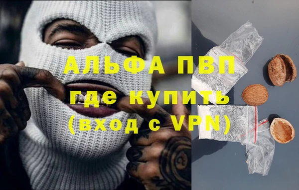PSILOCYBIN Зеленодольск