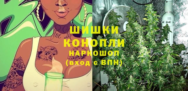 PSILOCYBIN Зеленодольск