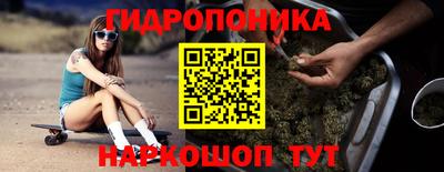 PSILOCYBIN Кандалакша