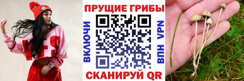Галлюциногенные грибы Magic Shrooms  Среднеуральск 