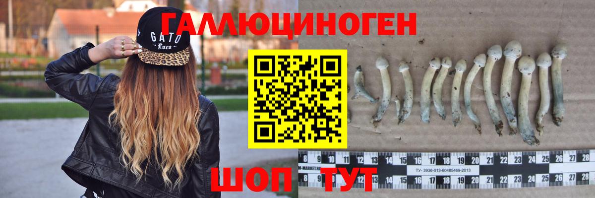 Галлюциногенные грибы GOLDEN TEACHER Среднеуральск